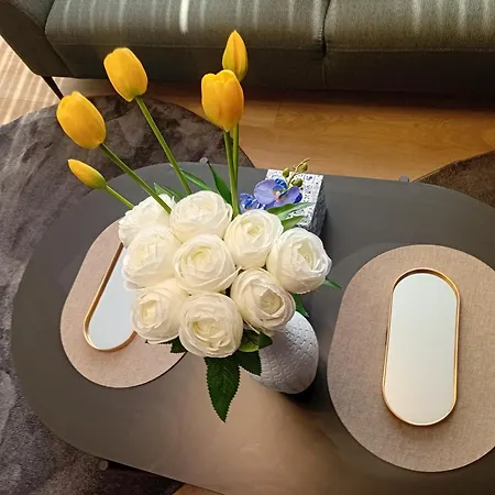Obsidian Sarajevo-modern Near Airport With Free Parking Apartamento